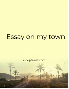 essay for my town
