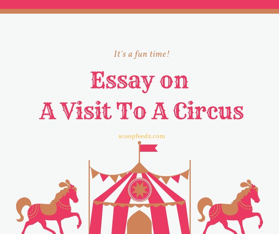 essay on circus for class 8