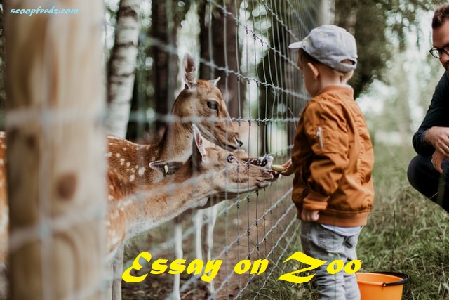 Essay on Zoo for Class 1 to 9: A Visit To A Zoo Short Story
